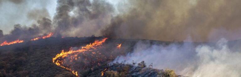 Wildfire Smoke's Dangers To Your Health